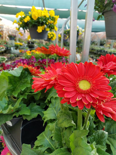 Home Improvement Store «Grange Co-op», reviews and photos, 1262 Stabler Ln, Yuba City, CA 95993, USA