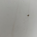 Photo n°13 de l'avis de vi.o fait le 30/07/2021 à 10:30 sur le  Grand Hotel Ischia & Lido - Aurum Hotels à Ischia