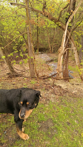Nature Preserve «Centennial Woods Natural Area», reviews and photos, I-89, Burlington, VT 05401, USA