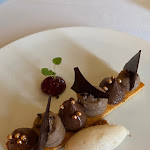 Photo n° 4 de l'avis de Peter.e fait le 23/12/2023 à 13:51 pour Fleur de Sureau à Gambsheim