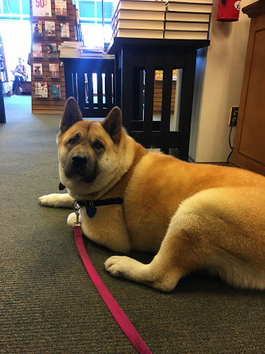 Book Store «Barnes And Noble», reviews and photos, 7610 Hazard Center Dr, San Diego, CA 92108, USA