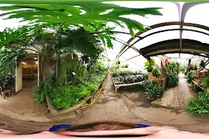 Peckham's Greenhouse image