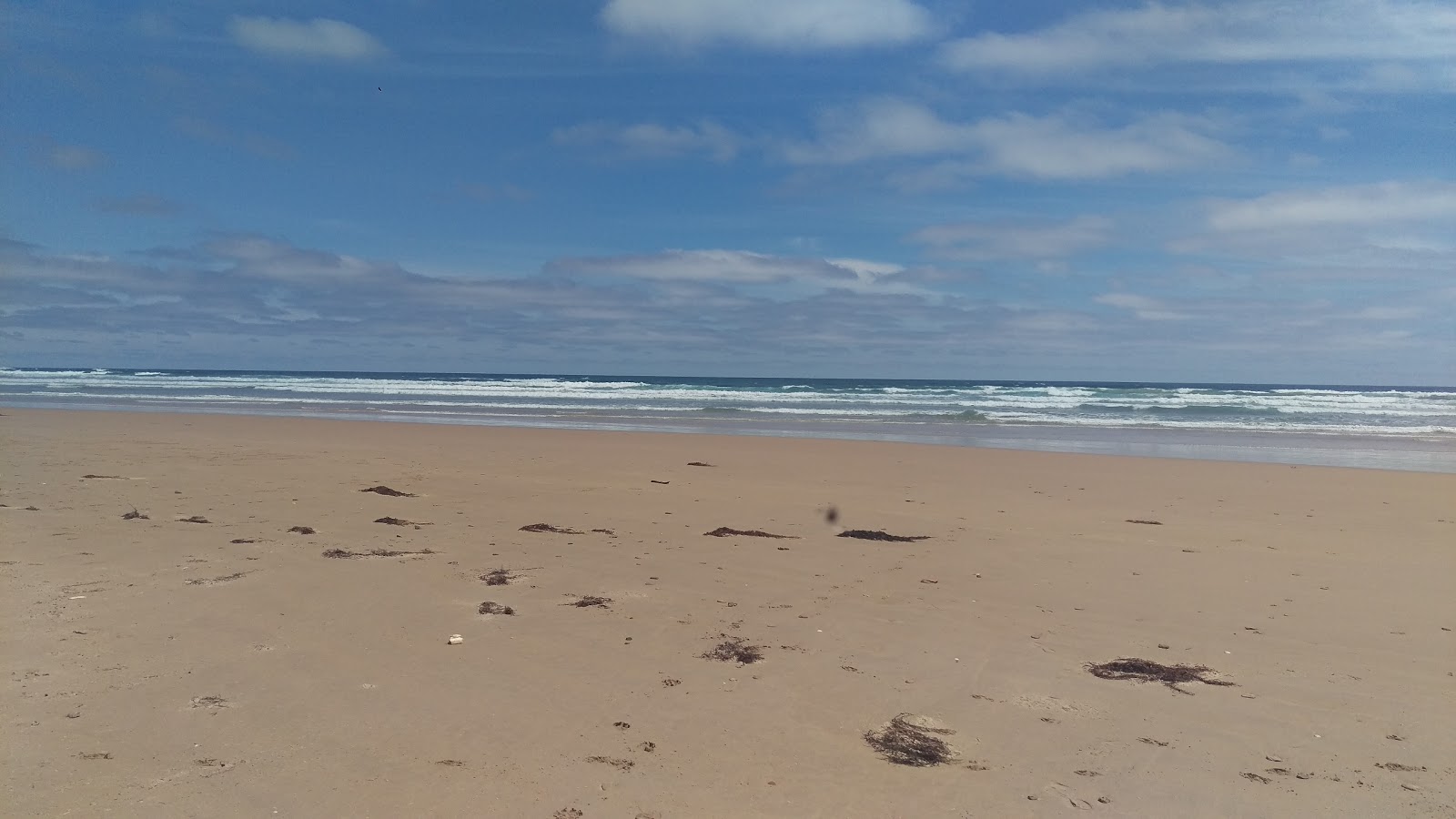 Foto di Cape Liptrap Beach con molto pulita livello di pulizia