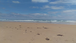 Foto von Cape Liptrap Beach mit langer gerader strand
