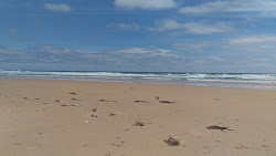 Cape Liptrap Beach'in fotoğrafı çok temiz temizlik seviyesi ile