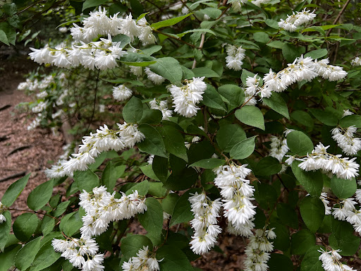 Park «Double Rock Park», reviews and photos, 8211 Glen Rd, Parkville, MD 21234, USA