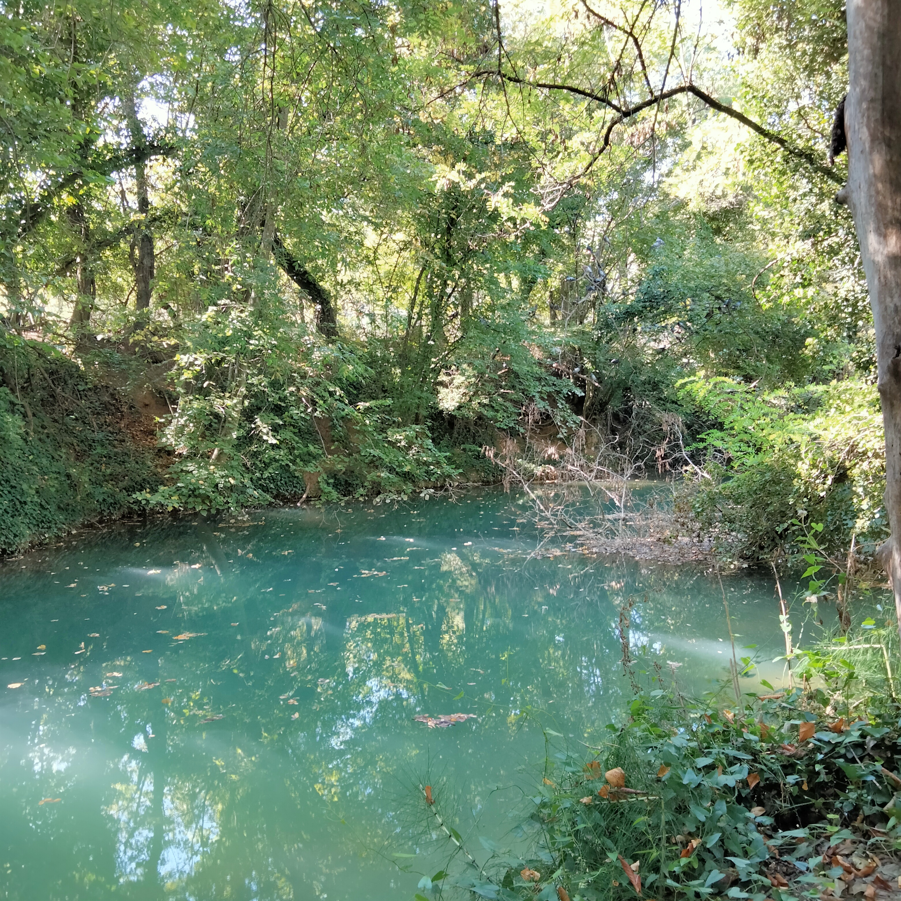 Photo n° 7 de l'avis de michèle. fait le 08/10/2023 à 17:21