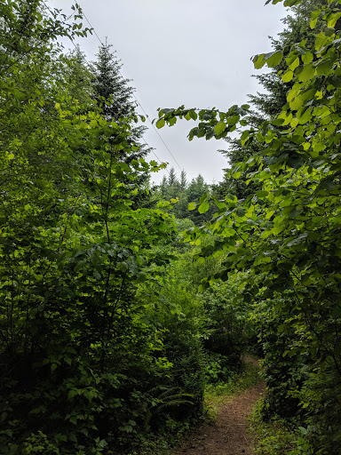 Campground «Camp Dakota», reviews and photos, 1843 Crooked Finger Rd NE, Scotts Mills, OR 97375, USA