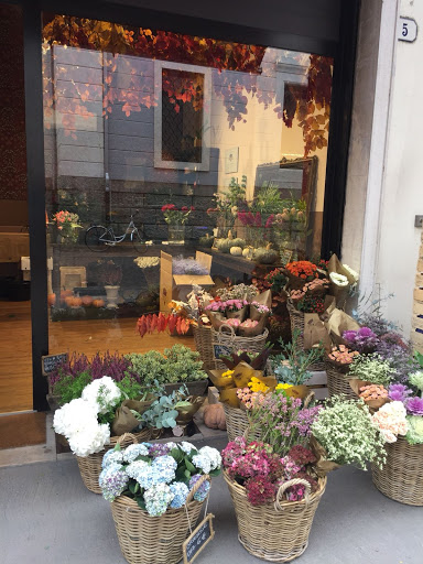 Frida's Padova | Italian Flower Stores