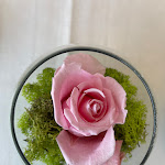 Photo n°1 de l'avis de Gillian.e fait le 09/07/2023 à 21:07 sur le  Hotel Villa e Palazzo Aminta à Stresa