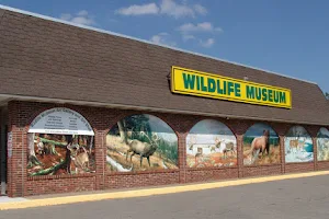 The Wildlife Sports and Educational Museum image