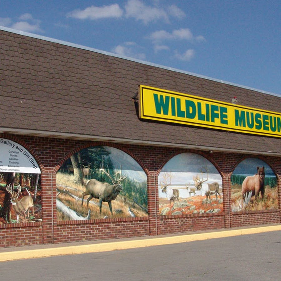 The Wildlife Sports and Educational Museum