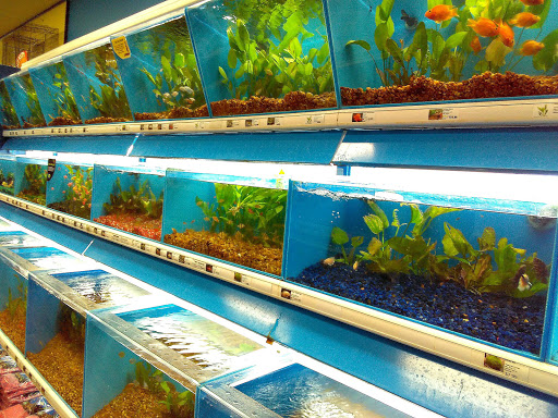 Pet Supply Store «Pet Supermarket», reviews and photos, 1800 W 68th St #140, Hialeah, FL 33014, USA