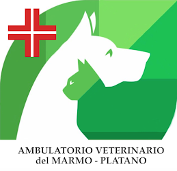 AMBULATORIO VETERINARIO DEL MARMO - PLATANO Dr. Raffaele Sansone