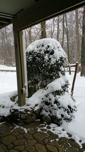 Nature Preserve «Shannondale Springs Wildlife Management Area», reviews and photos, Co Rte 9/5, Harpers Ferry, WV 25425, USA