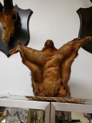 Natural History Museum «Natural History Society of Maryland», reviews and photos, 6908 Belair Rd, Baltimore, MD 21206, USA