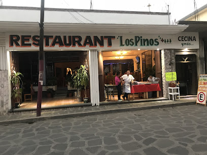 Restaurante Los Pinos - No Reelección 17, Centro, 62820 Yecapixtla, Mor., Mexico