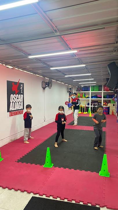 ACADEMIA DE TAEKWONDO OSCAR ALIAGA