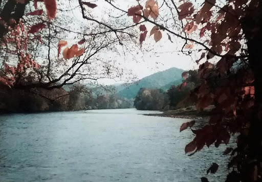 National Park «Blue Ridge National Heritage Area», reviews and photos, 195 Hemphill Knob Rd, Asheville, NC 28803, USA