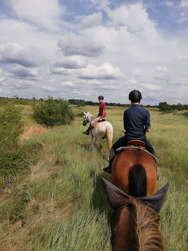 Centre équestre Relais des Moulins - Tourisme Equestre - Balades à cheval bords de Loire et villages de charme près de Saumur Gennes-Val-de-Loire