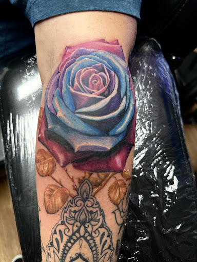 Explore pubic area tattoo ideas, creative tattoo ideas in Athens, available at Ink Theory Tattoo and piercing studio LLC