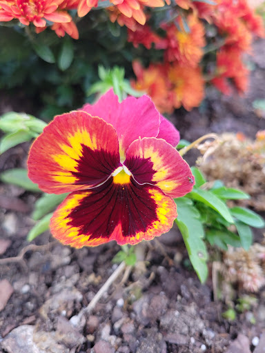 Park «Van Der Donck Park», reviews and photos, 41 Dock St, Yonkers, NY 10701, USA