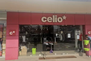 CELIO image