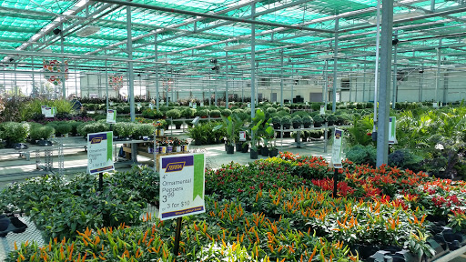 TERRA Greenhouses - Hamilton