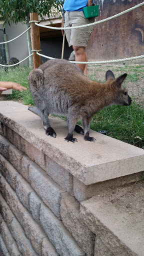 Country Club «Country Club of Colorado», reviews and photos, 125 Clubhouse Dr, Colorado Springs, CO 80906, USA