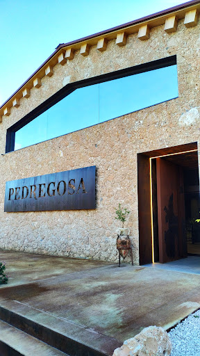 Celler Castelo de Pedregosa en Sant Sadurní d'Anoia