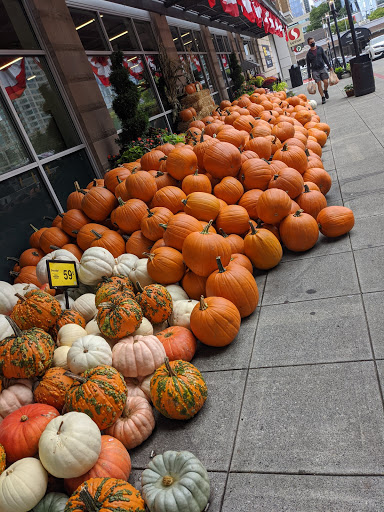 Grocery Store «Safeway», reviews and photos, 300 Bellevue Way NE, Bellevue, WA 98004, USA