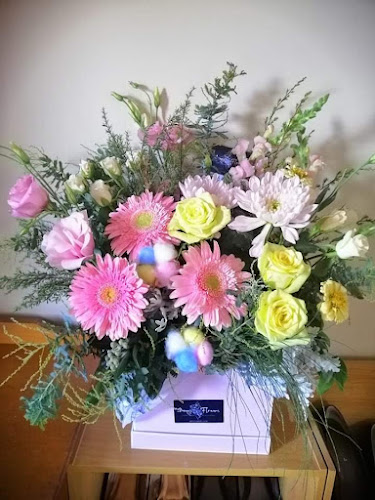 Amy's Flowers | Hamilton Florists - Flower Delivery Hamilton - Florist