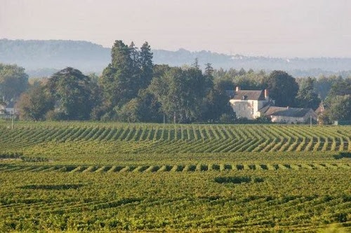 Château de Minière à Coteaux-sur-Loire