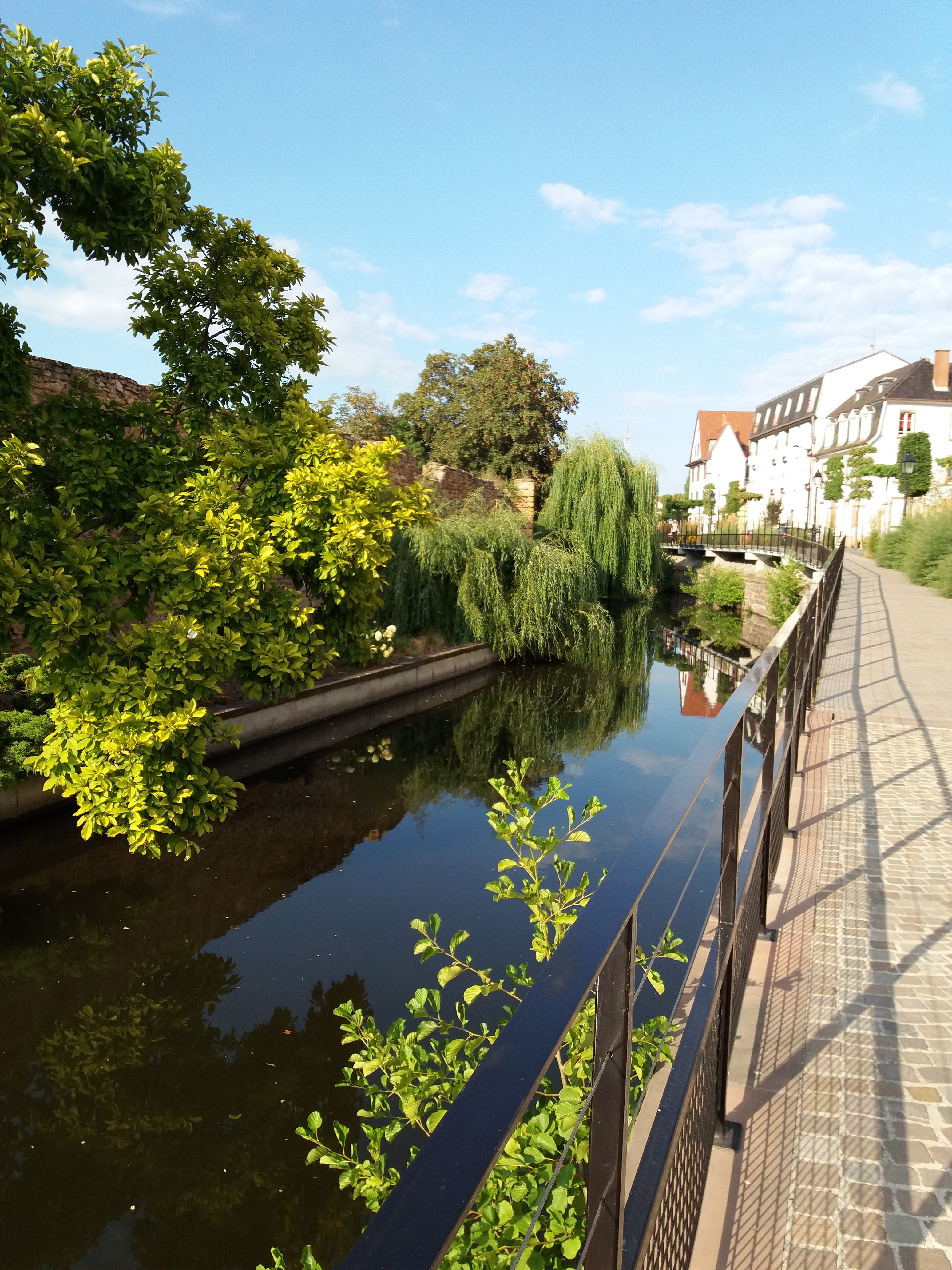 Photo n° 1 de l'avis de Niels.o fait le 19/08/2018 à 12:14