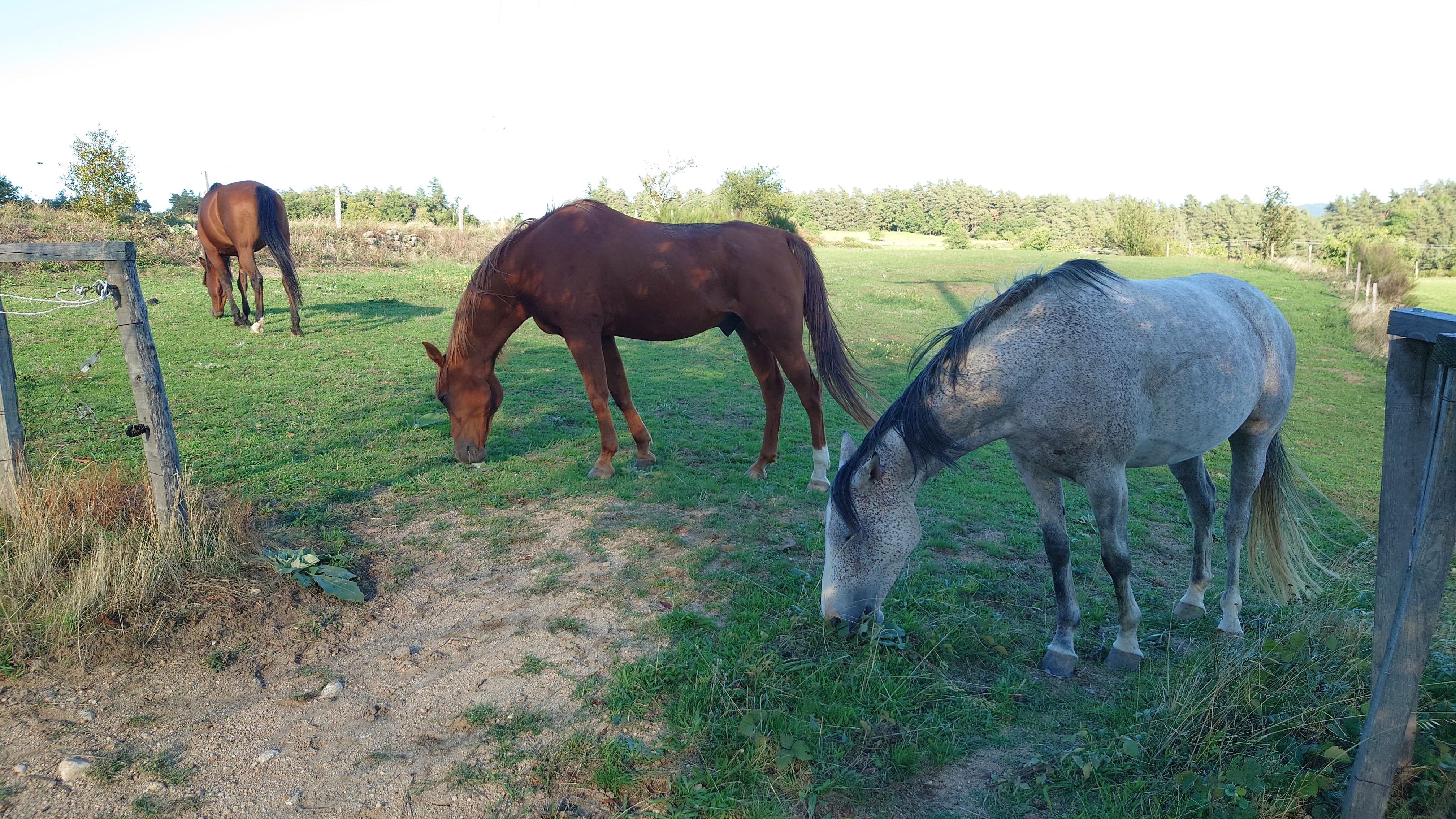 Photo n° 7 de l'avis de guillaume.o fait le 18/09/2022 à 18:35