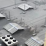 Photo n°3 de l'avis de reprotector. fait le 17/02/2023 à 16:32 sur le  Miosótis à Lisbon