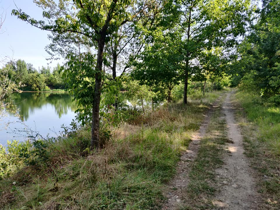 Photo n° 2 de l'avis de JG82. fait le 10/07/2020 à 09:53