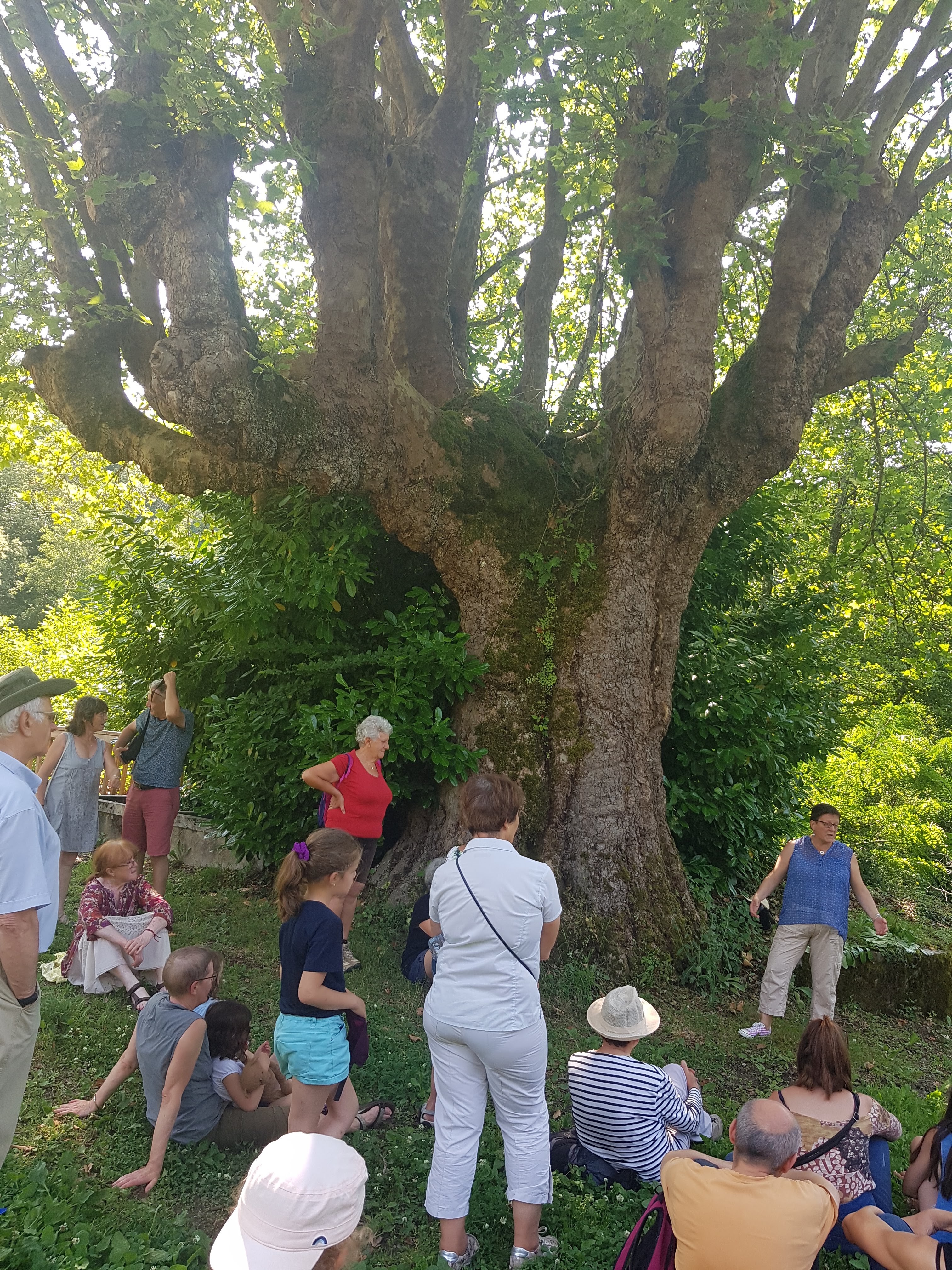 Photo n° 5 de l'avis de Naj.o fait le 30/07/2019 à 07:05