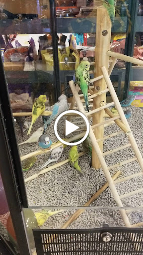 Pet Supply Store «Petco Animal Supplies», reviews and photos, 1415 E Warner Rd, Gilbert, AZ 85296, USA