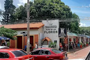 Paseo de las Flores image
