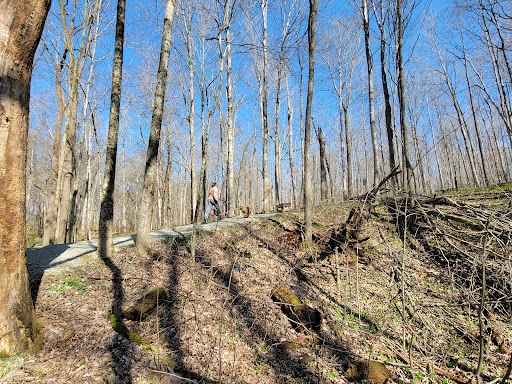 Park «Macgregor Park», reviews and photos, Macgregor Park Rd, Westfield, IN 46074, USA