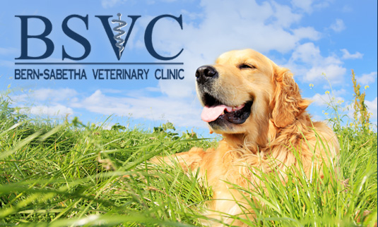 Bern-Sabetha Veterinary Clinic