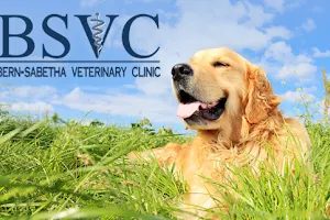Bern-Sabetha Veterinary Clinic image