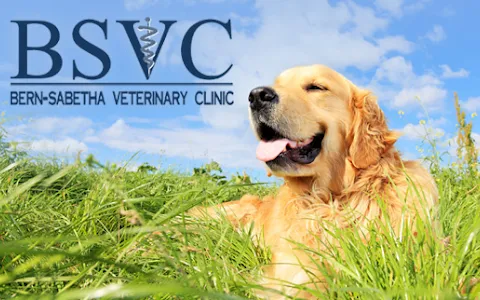 Bern-Sabetha Veterinary Clinic image