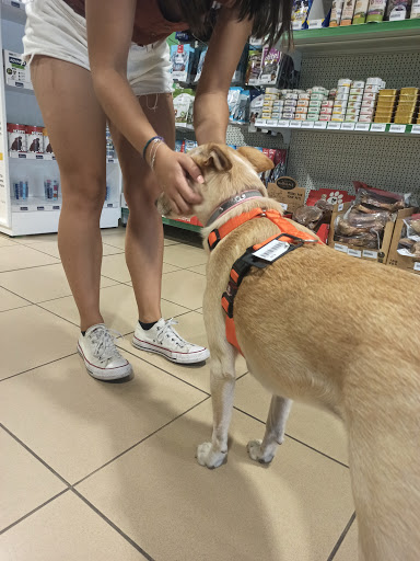 Centro Veterinario Canis en Girona