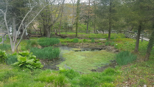 Aquarium «Cold Spring Harbor Fish Hatchery & Aquarium», reviews and photos, 1660 NY-25A, Cold Spring Harbor, NY 11724, USA