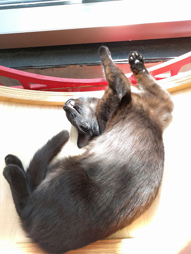 KitTea Cat Lounge image