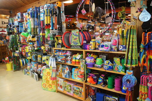 Toy Store «Dancing Bear Toys», reviews and photos, 518 Kenilworth Rd, Asheville, NC 28805, USA