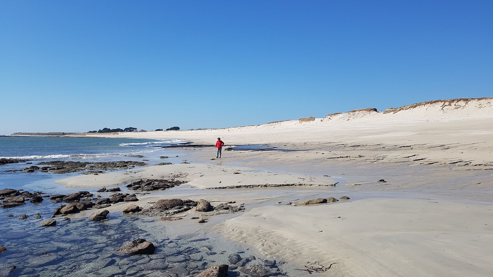 Plage de Skividen'in fotoğrafı çok temiz temizlik seviyesi ile