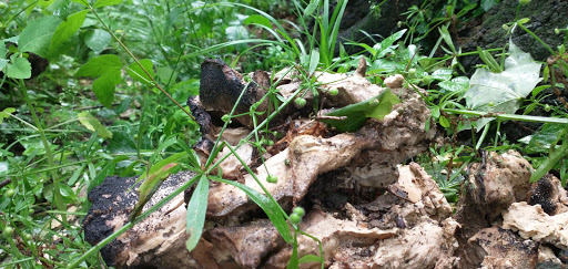 Golf Course «California Golf Course», reviews and photos, 5924 Kellogg Ave, Cincinnati, OH 45228, USA